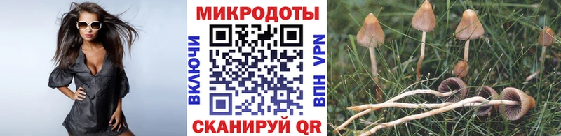 Галлюциногенные грибы ЛСД  Барыш 